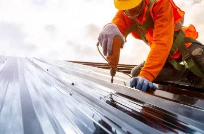 Travaux de zinguerie à Palme